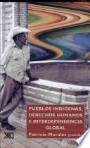 libro Pueblos Indígenas, Derechos Humanos E Interdependencia Global